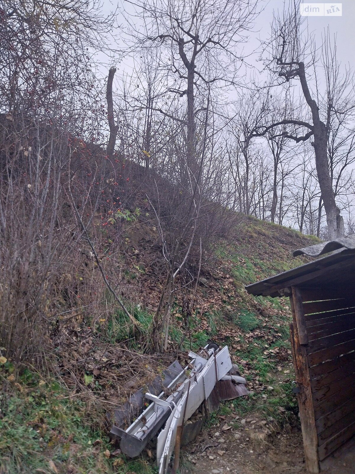 одноповерховий будинок, 21 кв. м, дерево и кирпич. Продаж у Солотвині фото 1 одноповерховий будинок, 21 кв. м, дерево и кирпич. Продаж у Солотвині фото 1