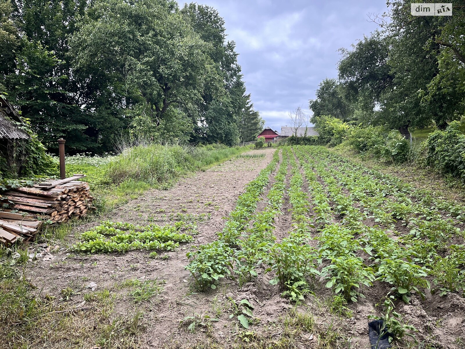 одноэтажный дом с верандой, 56.3 кв. м, сруб. Продажа в Верпе фото 1 одноэтажный дом с верандой, 56.3 кв. м, сруб. Продажа в Верпе фото 1
