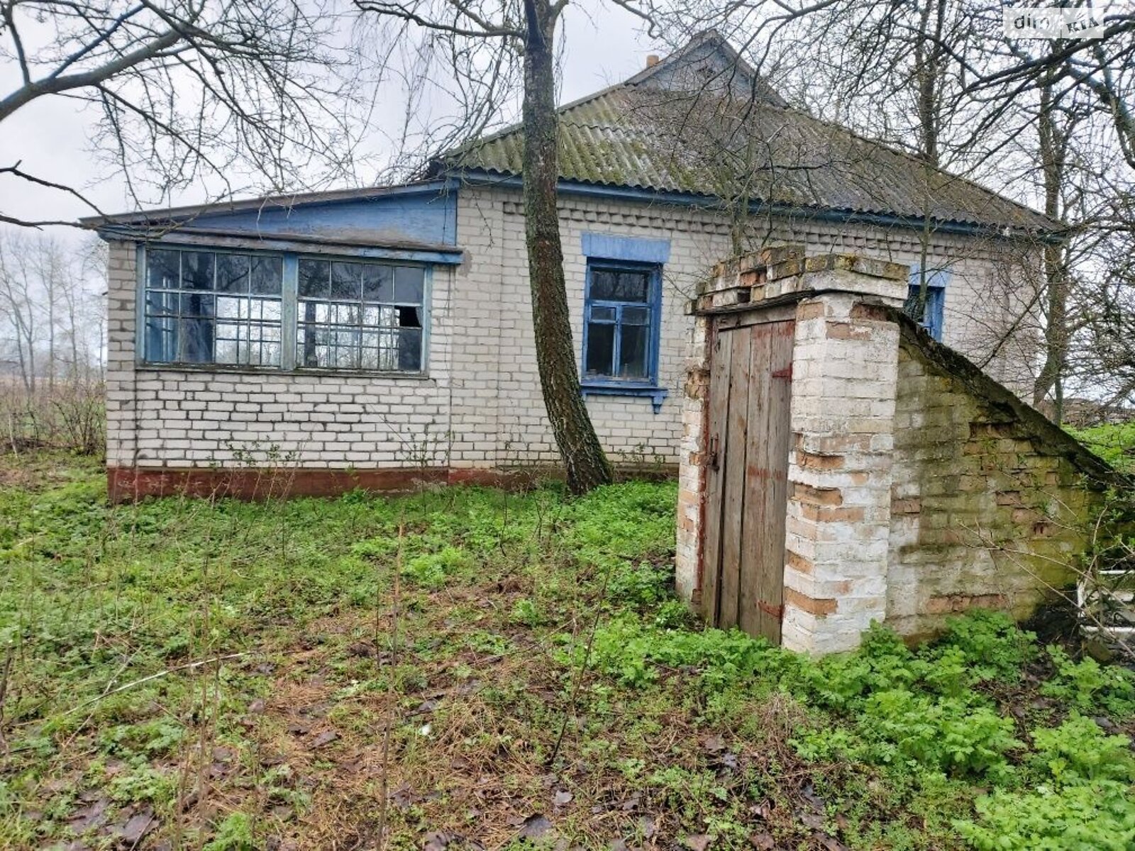 одноэтажный дом с гаражом, 100 кв. м, ракушечник (ракушняк). Продажа в Веселиновке фото 1 одноэтажный дом с гаражом, 100 кв. м, ракушечник (ракушняк). Продажа в Веселиновке фото 1