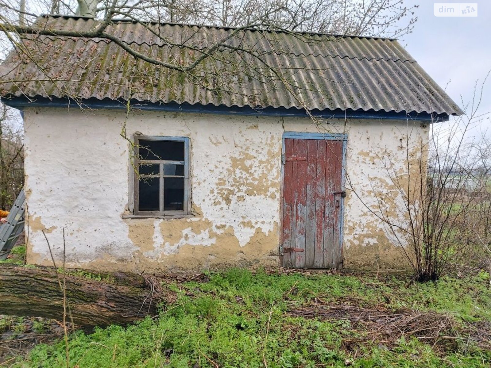 одноэтажный дом с гаражом, 100 кв. м, ракушечник (ракушняк). Продажа в Веселиновке фото 1 одноэтажный дом с гаражом, 100 кв. м, ракушечник (ракушняк). Продажа в Веселиновке фото 1