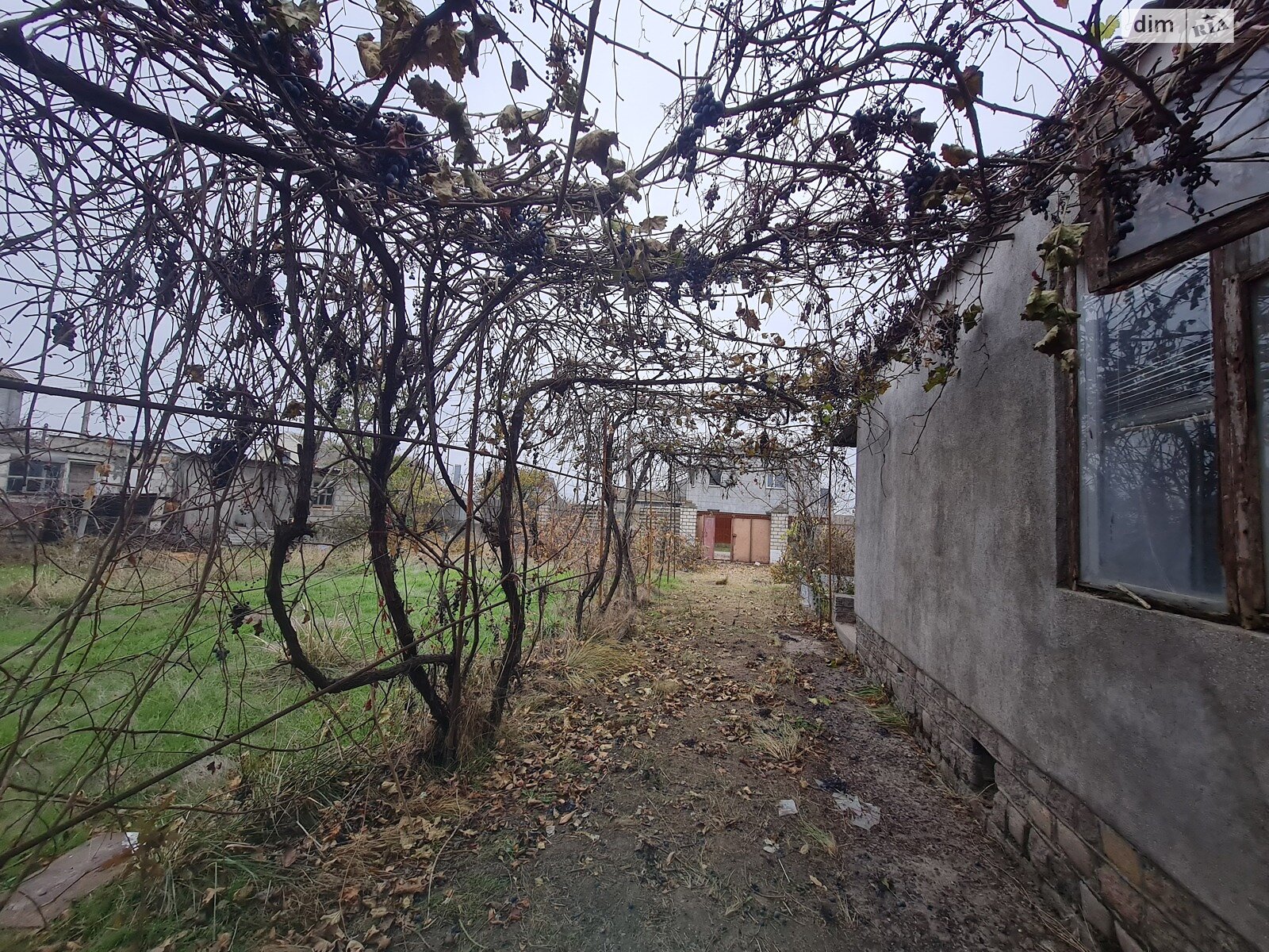 одноповерховий будинок з опаленням, 103.8 кв. м, цегла. Продаж у Весняне фото 1 одноповерховий будинок з опаленням, 103.8 кв. м, цегла. Продаж у Весняне фото 1
