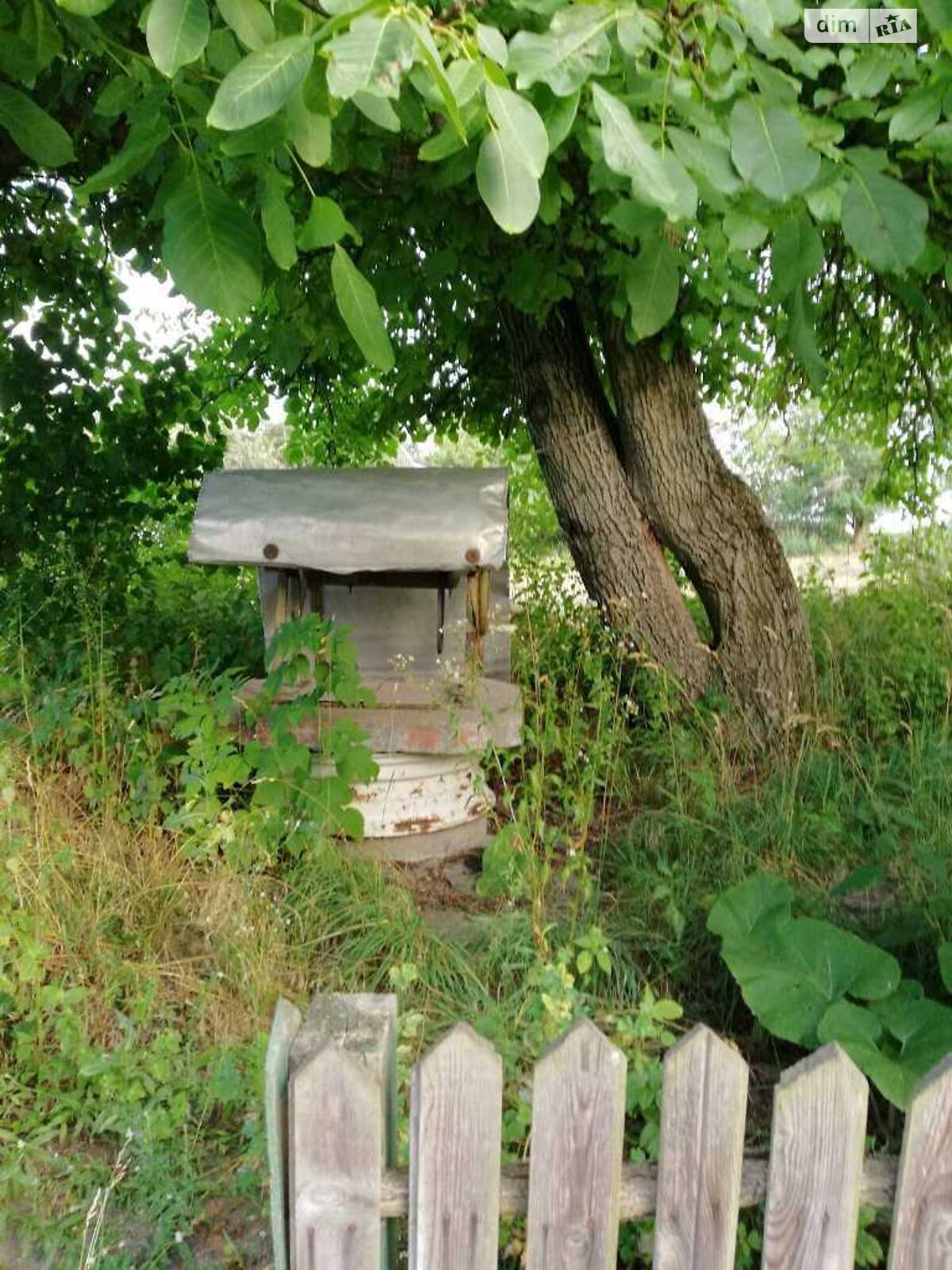 одноповерховий будинок з верандою, 43 кв. м, цегла. Продаж у Виграєві фото 1 одноповерховий будинок з верандою, 43 кв. м, цегла. Продаж у Виграєві фото 1