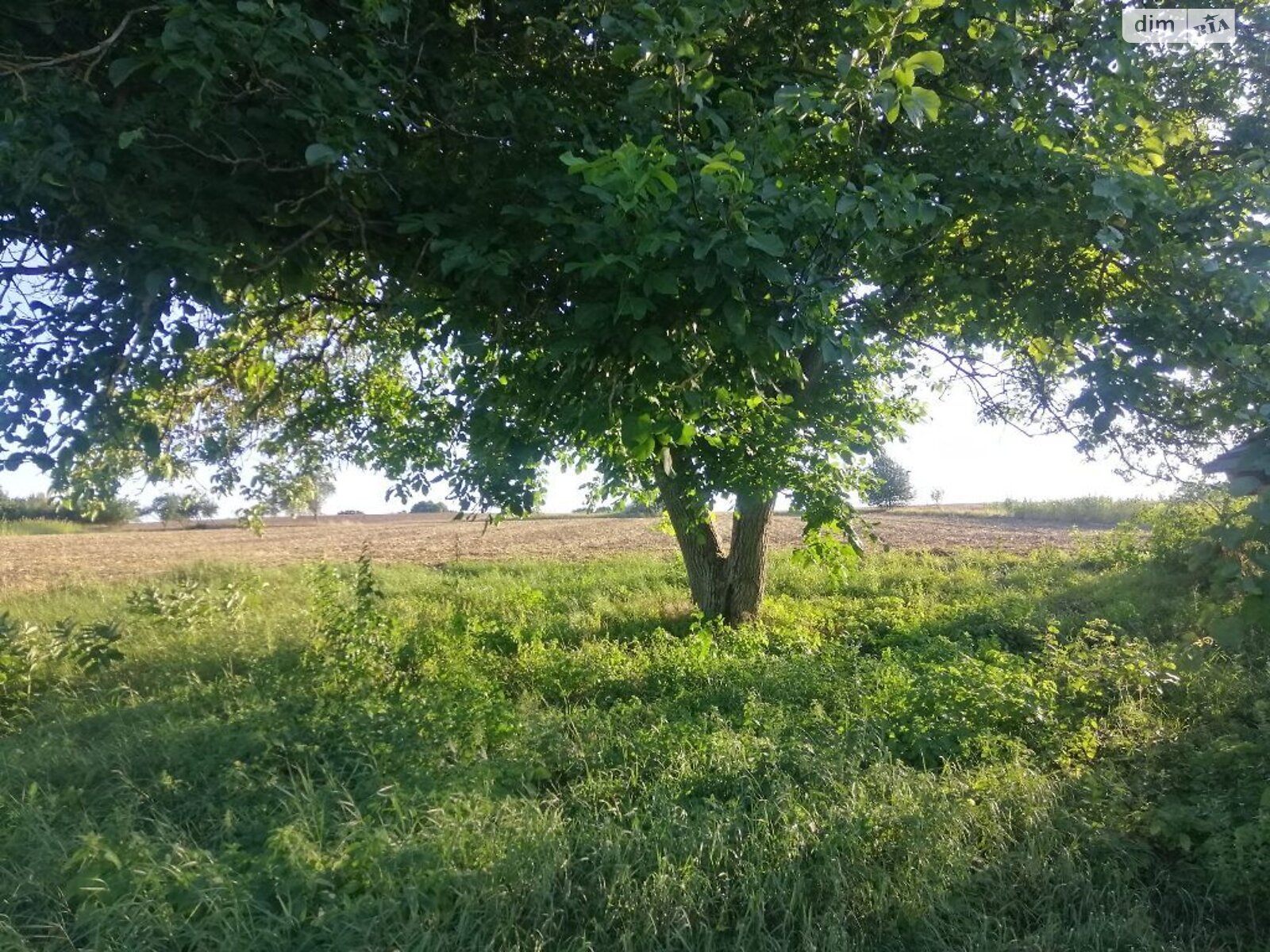 одноповерховий будинок з верандою, 43 кв. м, цегла. Продаж у Виграєві фото 1 одноповерховий будинок з верандою, 43 кв. м, цегла. Продаж у Виграєві фото 1