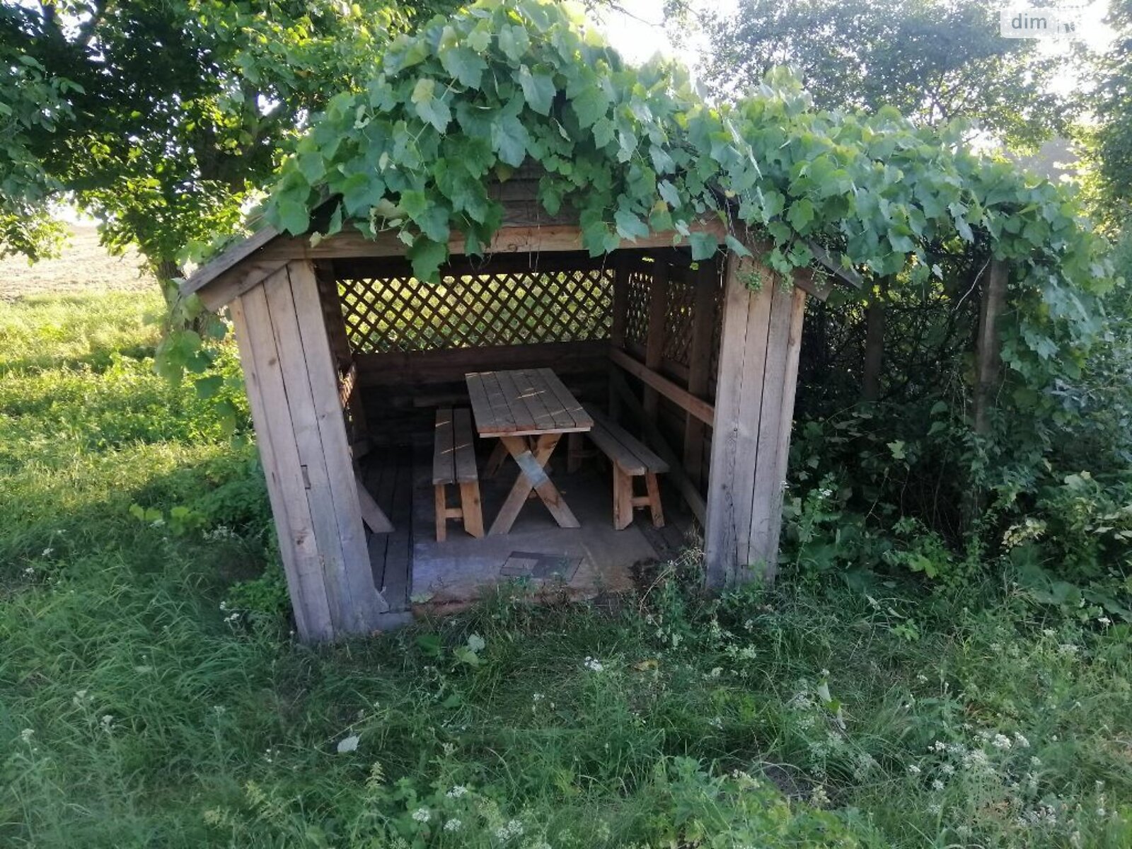 одноповерховий будинок з верандою, 43 кв. м, цегла. Продаж у Виграєві фото 1 одноповерховий будинок з верандою, 43 кв. м, цегла. Продаж у Виграєві фото 1