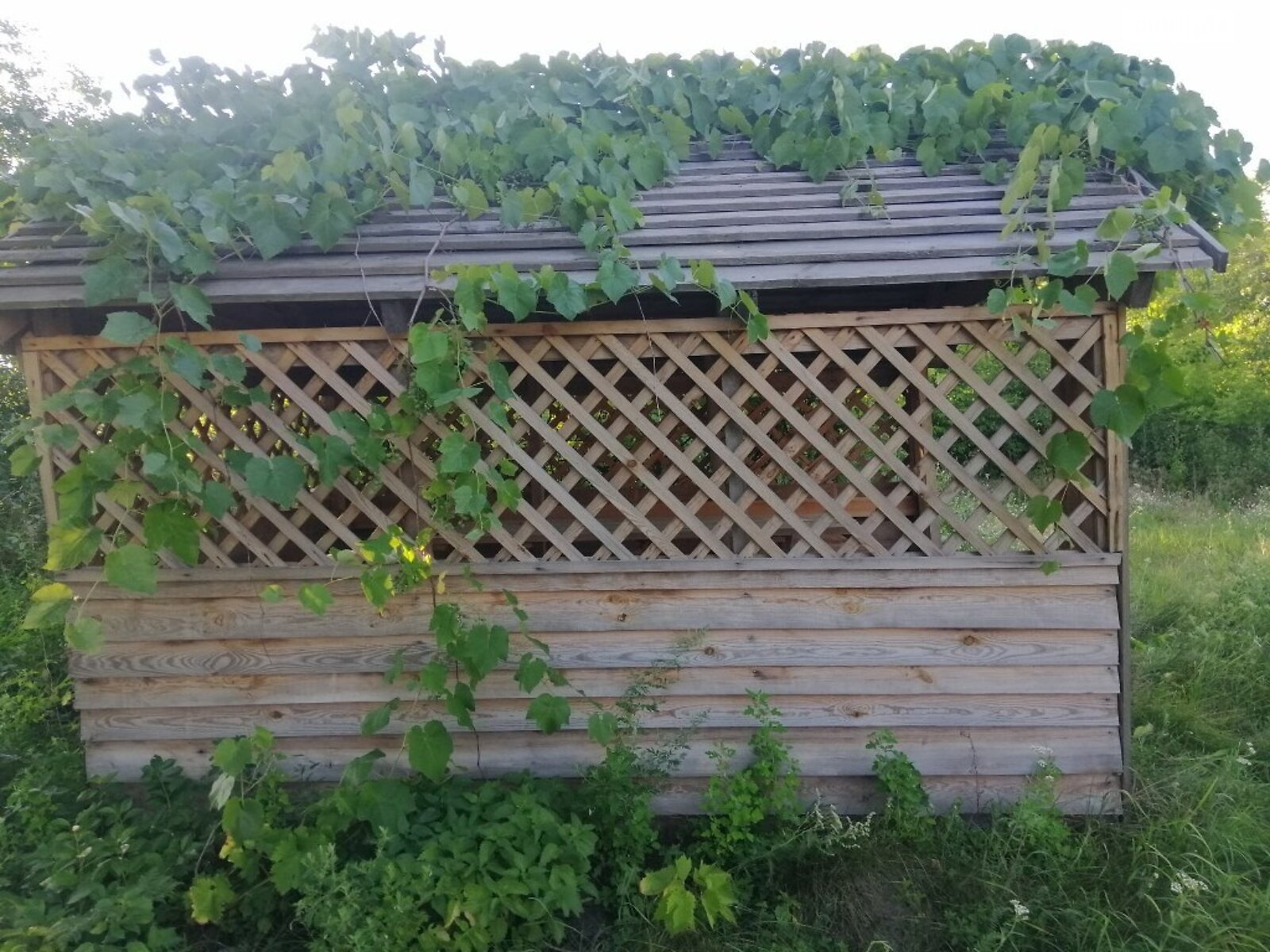 одноповерховий будинок з верандою, 43 кв. м, цегла. Продаж у Виграєві фото 1 одноповерховий будинок з верандою, 43 кв. м, цегла. Продаж у Виграєві фото 1