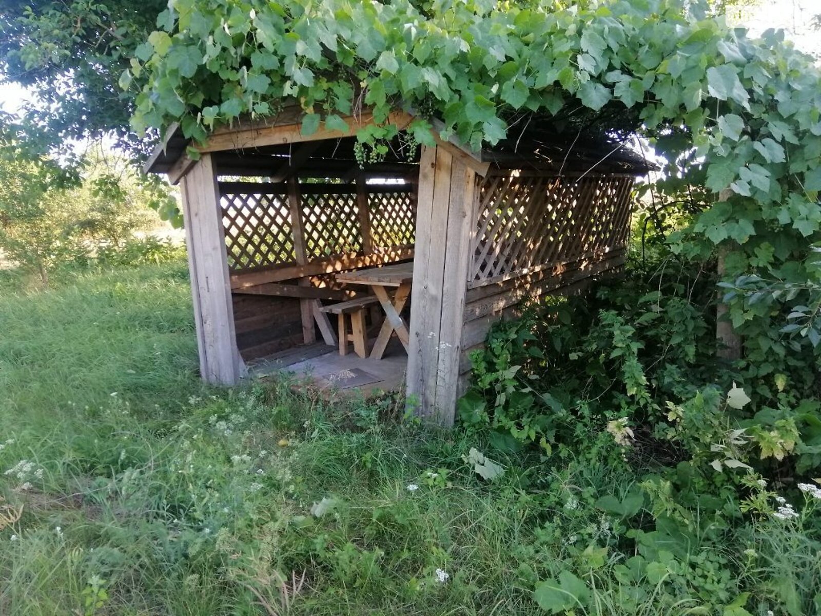 одноповерховий будинок з верандою, 43 кв. м, цегла. Продаж у Виграєві фото 1 одноповерховий будинок з верандою, 43 кв. м, цегла. Продаж у Виграєві фото 1