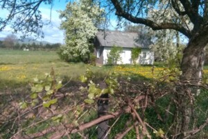 одноповерховий будинок, 80 кв. м, дерево и кирпич. Продаж в Вижниці, район Вижниця фото 2