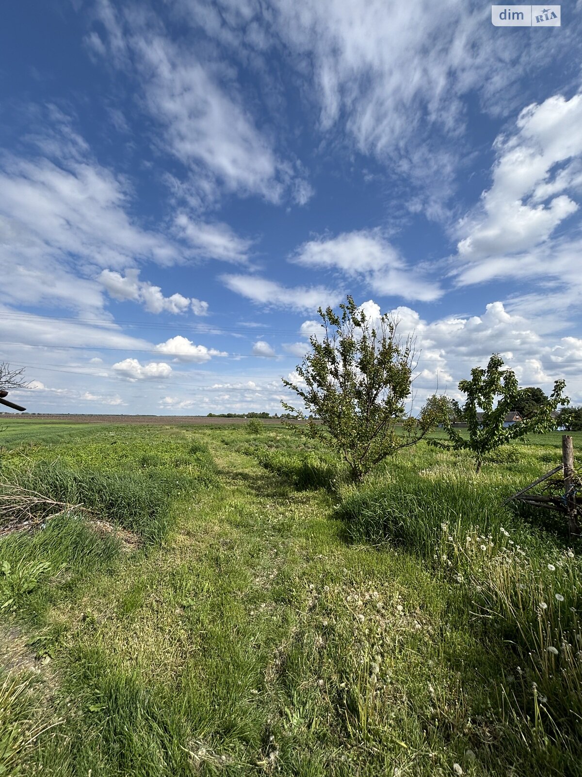 одноповерховий будинок з верандою, 45.6 кв. м, дерево та цегла. Продаж у Вільгірі фото 1 одноповерховий будинок з верандою, 45.6 кв. м, дерево та цегла. Продаж у Вільгірі фото 1