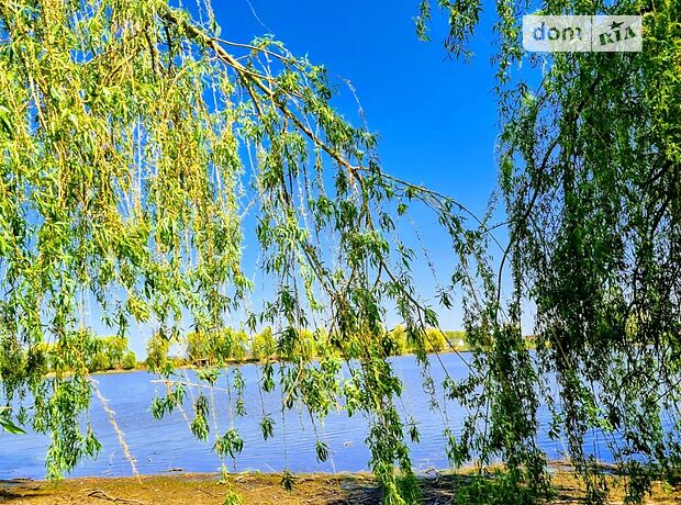 одноповерховий будинок з опаленням, 115 кв. м, цегла. Продаж в Агрономічному (Вінницька обл.) фото 1 одноповерховий будинок з опаленням, 115 кв. м, цегла. Продаж в Агрономічному (Вінницька обл.) фото 1