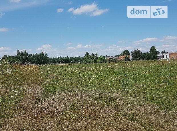 двухэтажный дом с камином, 499.6 кв. м, кирпич. Продажа в Агрономичном (Винницкая обл.) фото 1 двухэтажный дом с камином, 499.6 кв. м, кирпич. Продажа в Агрономичном (Винницкая обл.) фото 1