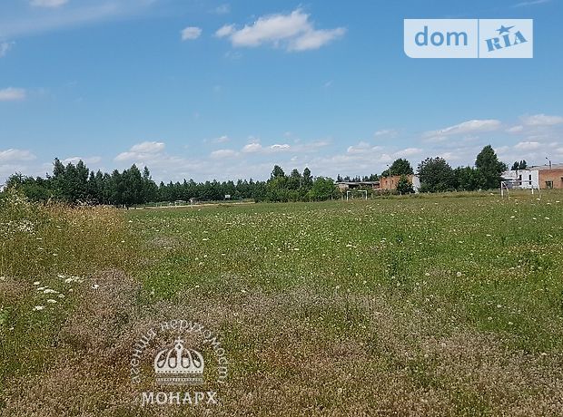 двухэтажный дом с камином, 499.6 кв. м, кирпич. Продажа в Агрономичном (Винницкая обл.) фото 1 двухэтажный дом с камином, 499.6 кв. м, кирпич. Продажа в Агрономичном (Винницкая обл.) фото 1