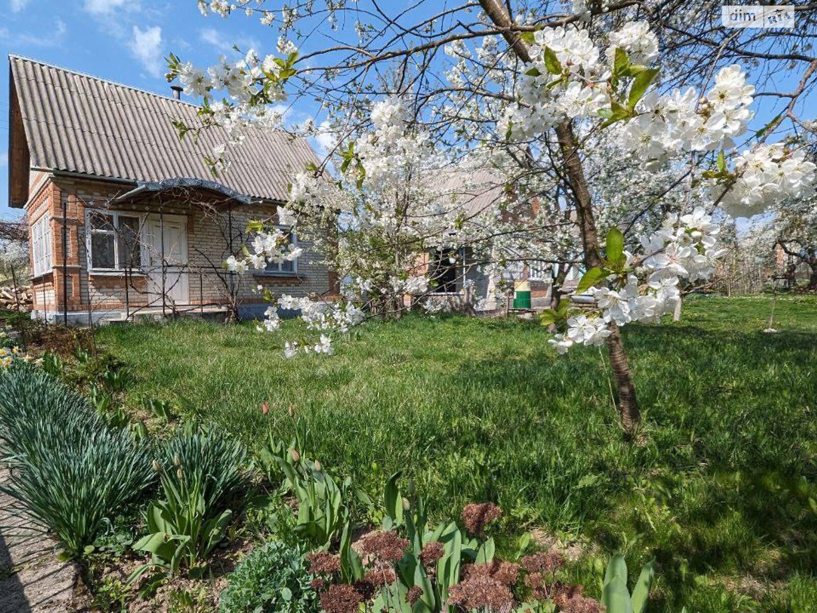 двоповерховий будинок, 45 кв. м, цегла. Продаж у Агрономічному фото 1