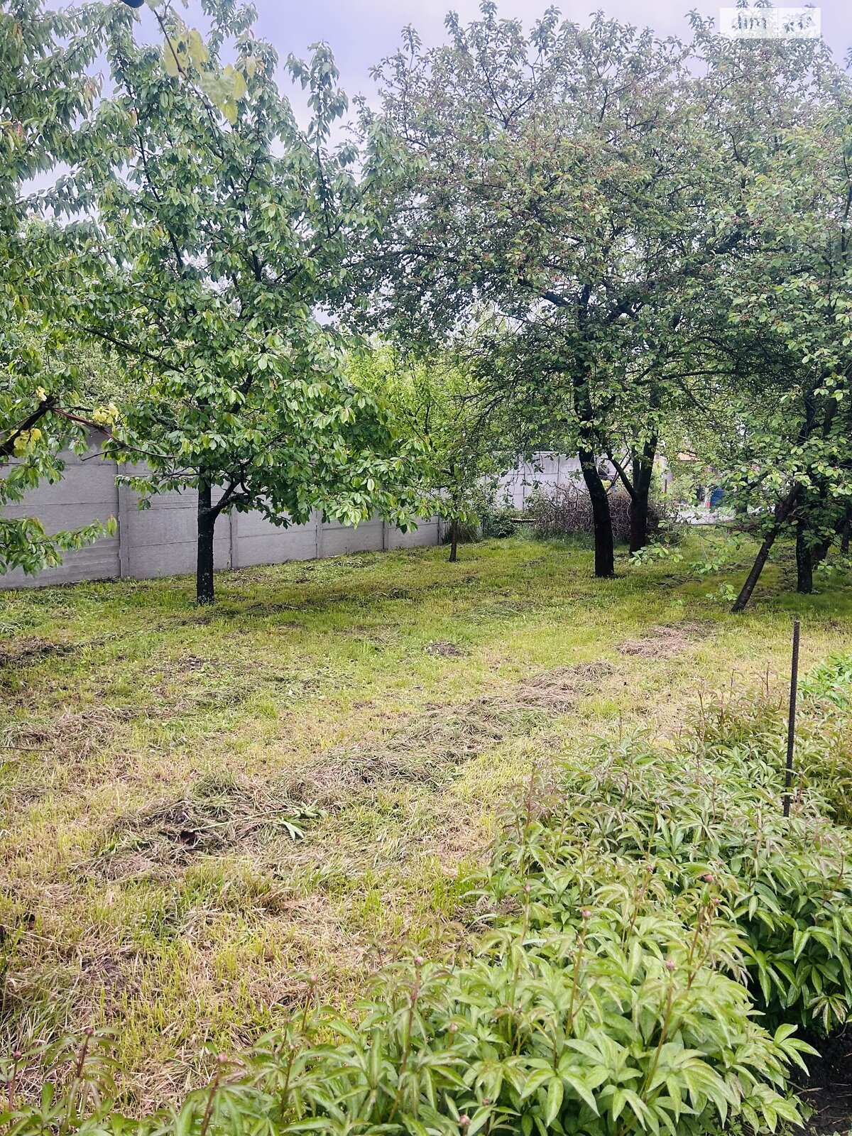 двоповерховий будинок, 45 кв. м, цегла. Продаж у Агрономічному фото 1 двоповерховий будинок, 45 кв. м, цегла. Продаж у Агрономічному фото 1
