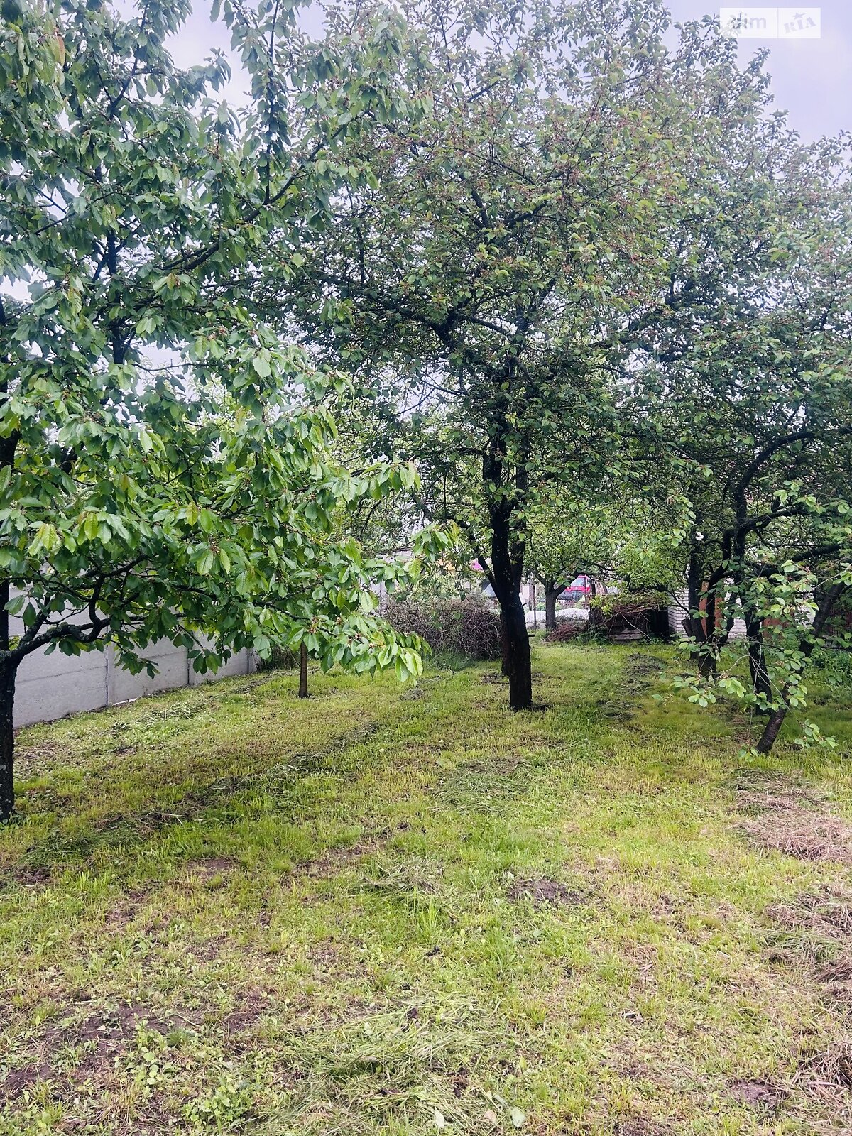 двоповерховий будинок, 45 кв. м, цегла. Продаж у Агрономічному фото 1 двоповерховий будинок, 45 кв. м, цегла. Продаж у Агрономічному фото 1