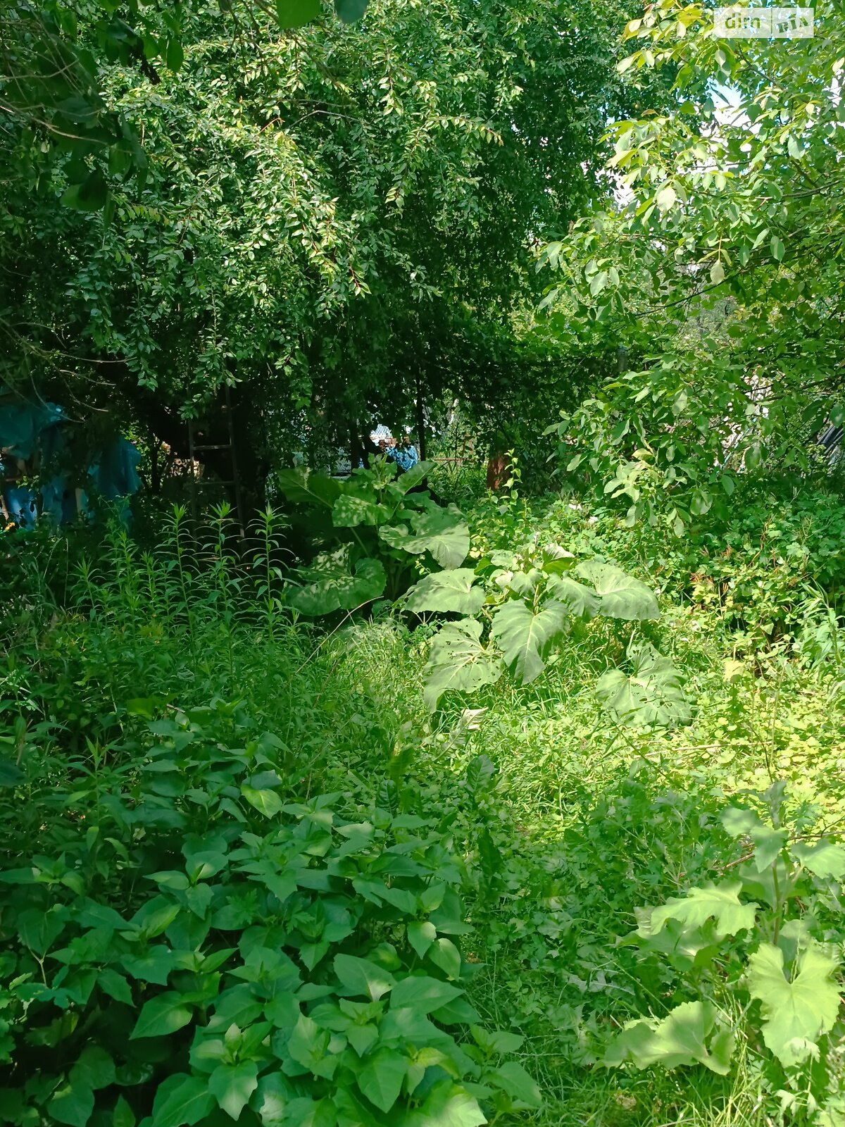 двоповерховий будинок, 50 кв. м, кирпич. Продаж у Вінниці фото 1 двоповерховий будинок, 50 кв. м, кирпич. Продаж у Вінниці фото 1