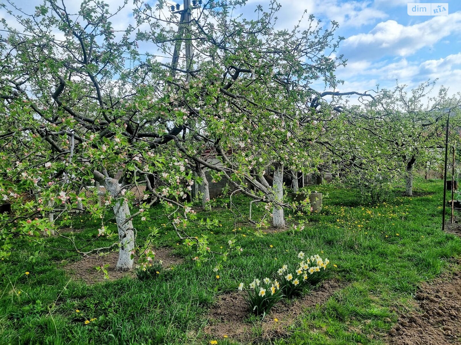 одноповерховий будинок, 160 кв. м, цегла. Продаж в Вінниці, район Ближнє замостя фото 1