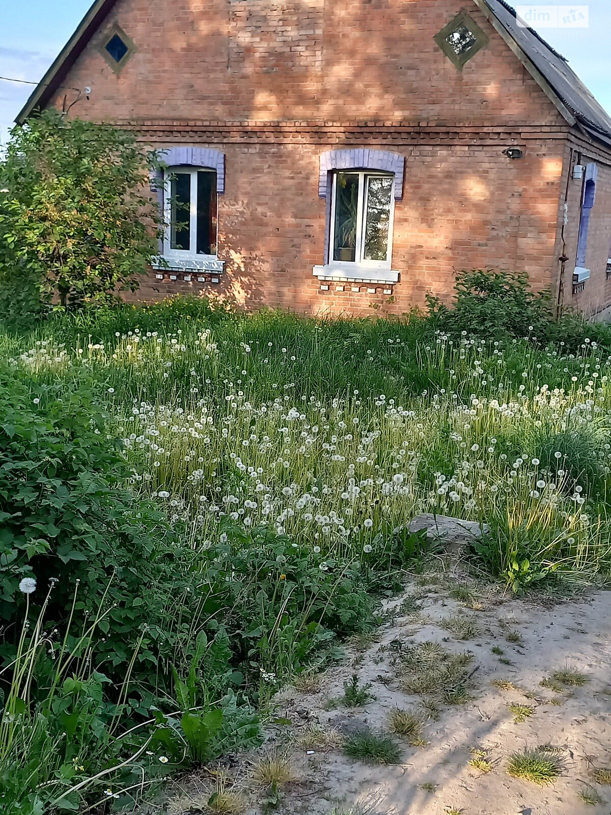 одноэтажный дом, 80 кв. м, кирпич. Продажа в Виннице район Бучмы фото 1 одноэтажный дом, 80 кв. м, кирпич. Продажа в Виннице район Бучмы фото 1