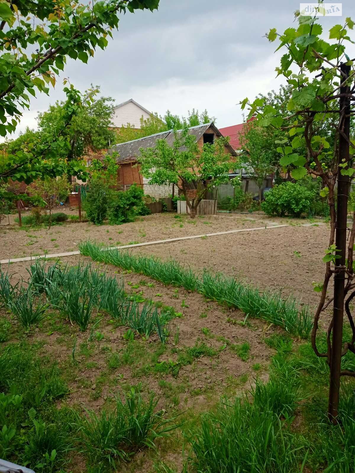 одноповерховий будинок з балконом, 150 кв. м, цегла. Продаж в Вінниці, район Бучми фото 1 одноповерховий будинок з балконом, 150 кв. м, цегла. Продаж в Вінниці, район Бучми фото 1