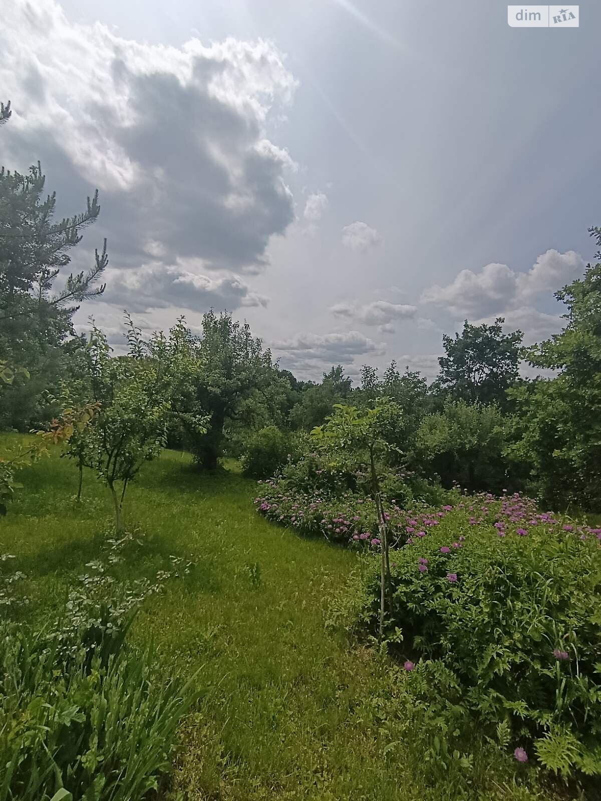 одноповерховий будинок з опаленням, 64.6 кв. м, кирпич. Продаж в Вінниці, район Бучми фото 1 одноповерховий будинок з опаленням, 64.6 кв. м, кирпич. Продаж в Вінниці, район Бучми фото 1