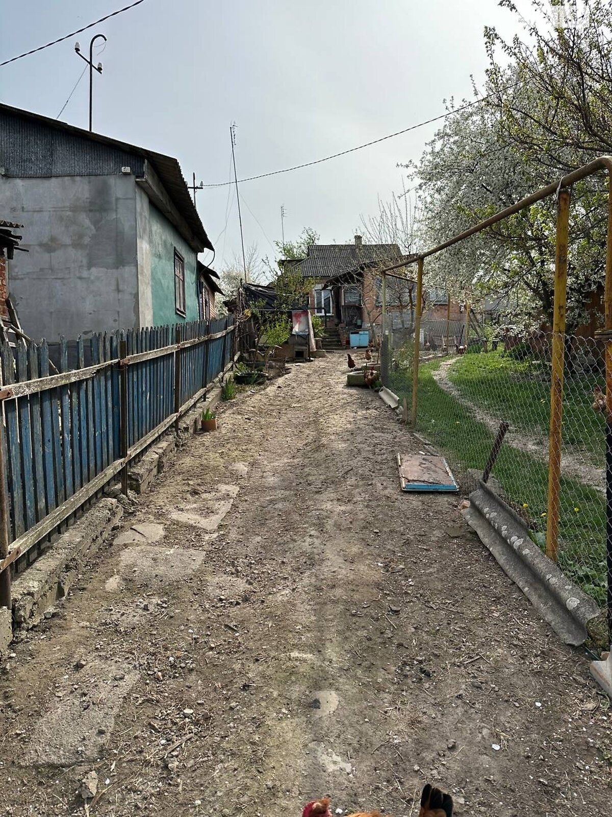одноповерховий будинок з опаленням, 60 кв. м, цегла. Продаж в Вінниці, район Бучми фото 1 одноповерховий будинок з опаленням, 60 кв. м, цегла. Продаж в Вінниці, район Бучми фото 1