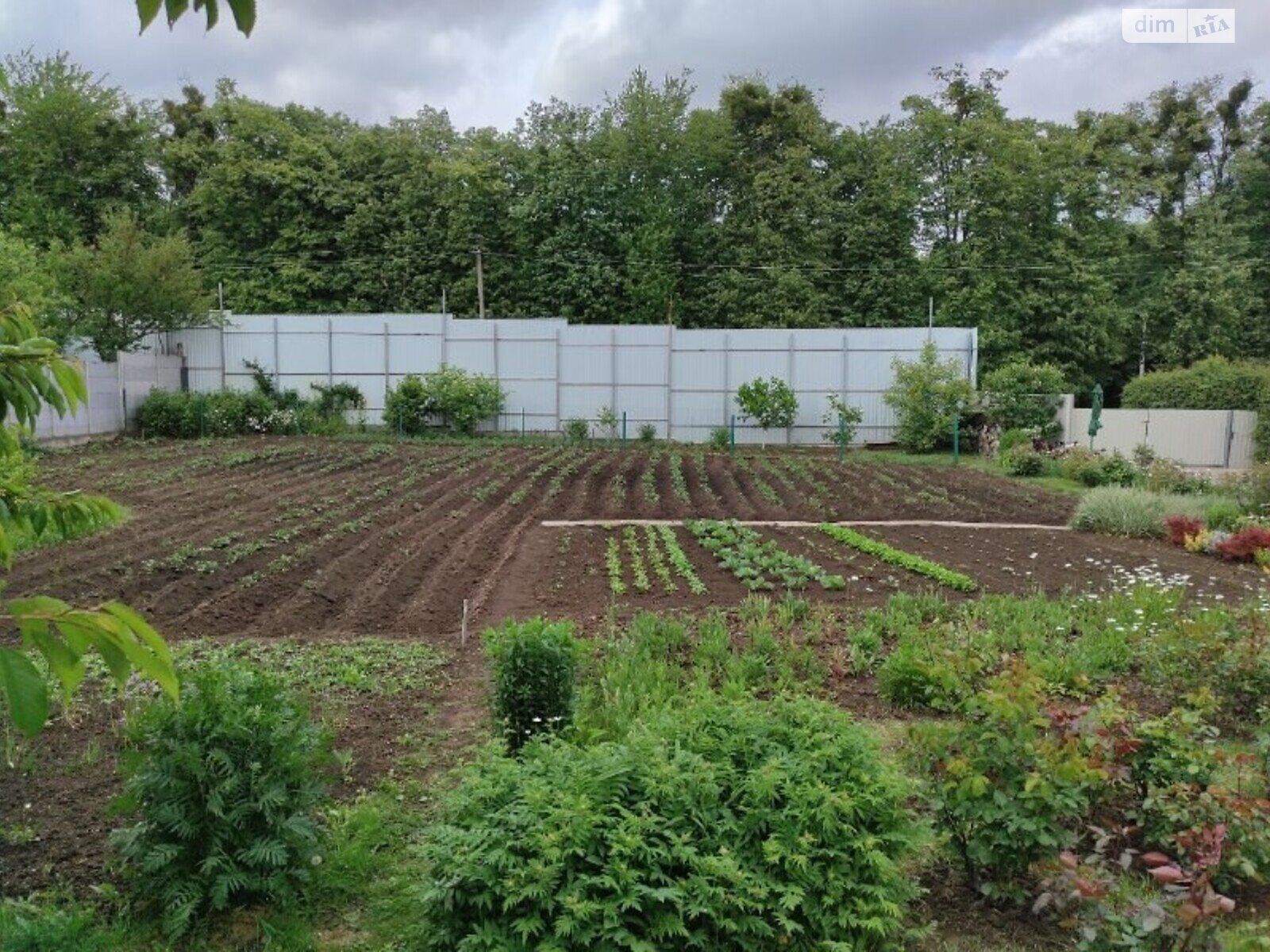 одноповерховий будинок з опаленням, 104.6 кв. м, цегла. Продаж в Вінниці, район Гніванське шосе фото 1 одноповерховий будинок з опаленням, 104.6 кв. м, цегла. Продаж в Вінниці, район Гніванське шосе фото 1