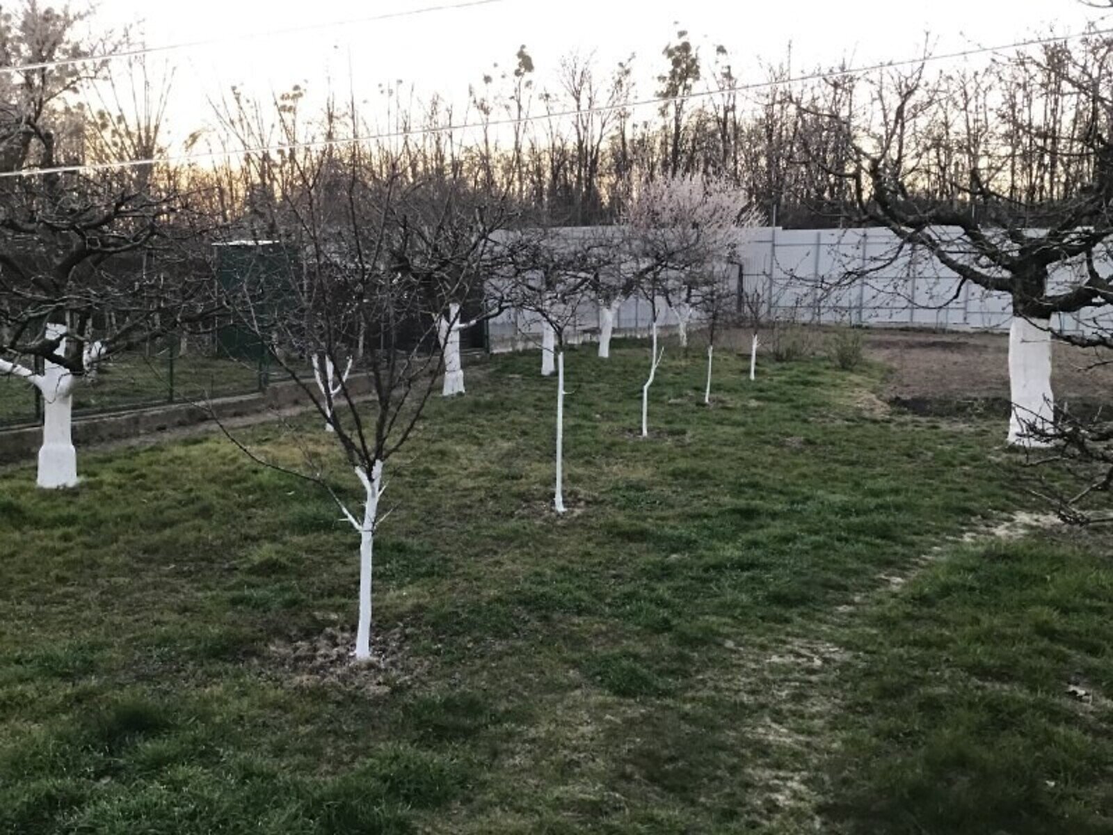 одноповерховий будинок з опаленням, 104.6 кв. м, цегла. Продаж в Вінниці, район Гніванське шосе фото 1 одноповерховий будинок з опаленням, 104.6 кв. м, цегла. Продаж в Вінниці, район Гніванське шосе фото 1