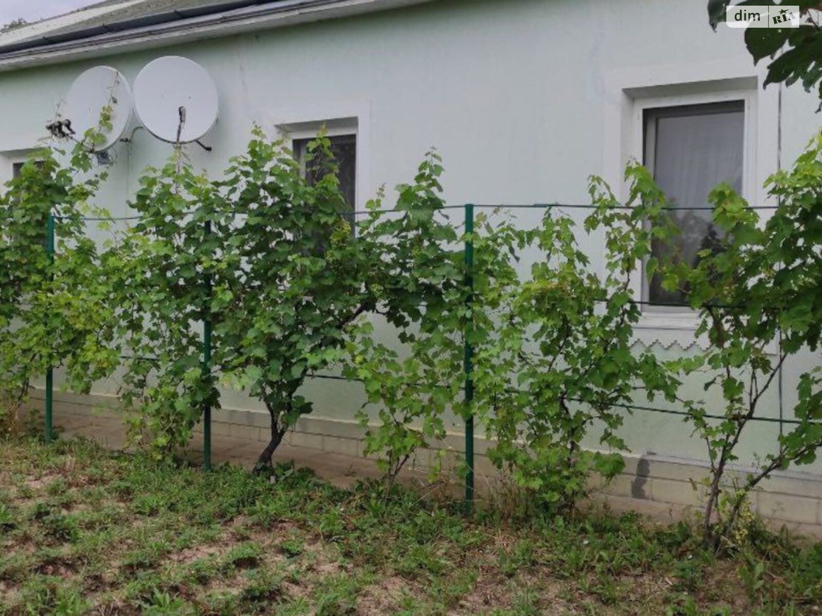 одноповерховий будинок з опаленням, 104.6 кв. м, цегла. Продаж в Вінниці, район Гніванське шосе фото 1 одноповерховий будинок з опаленням, 104.6 кв. м, цегла. Продаж в Вінниці, район Гніванське шосе фото 1