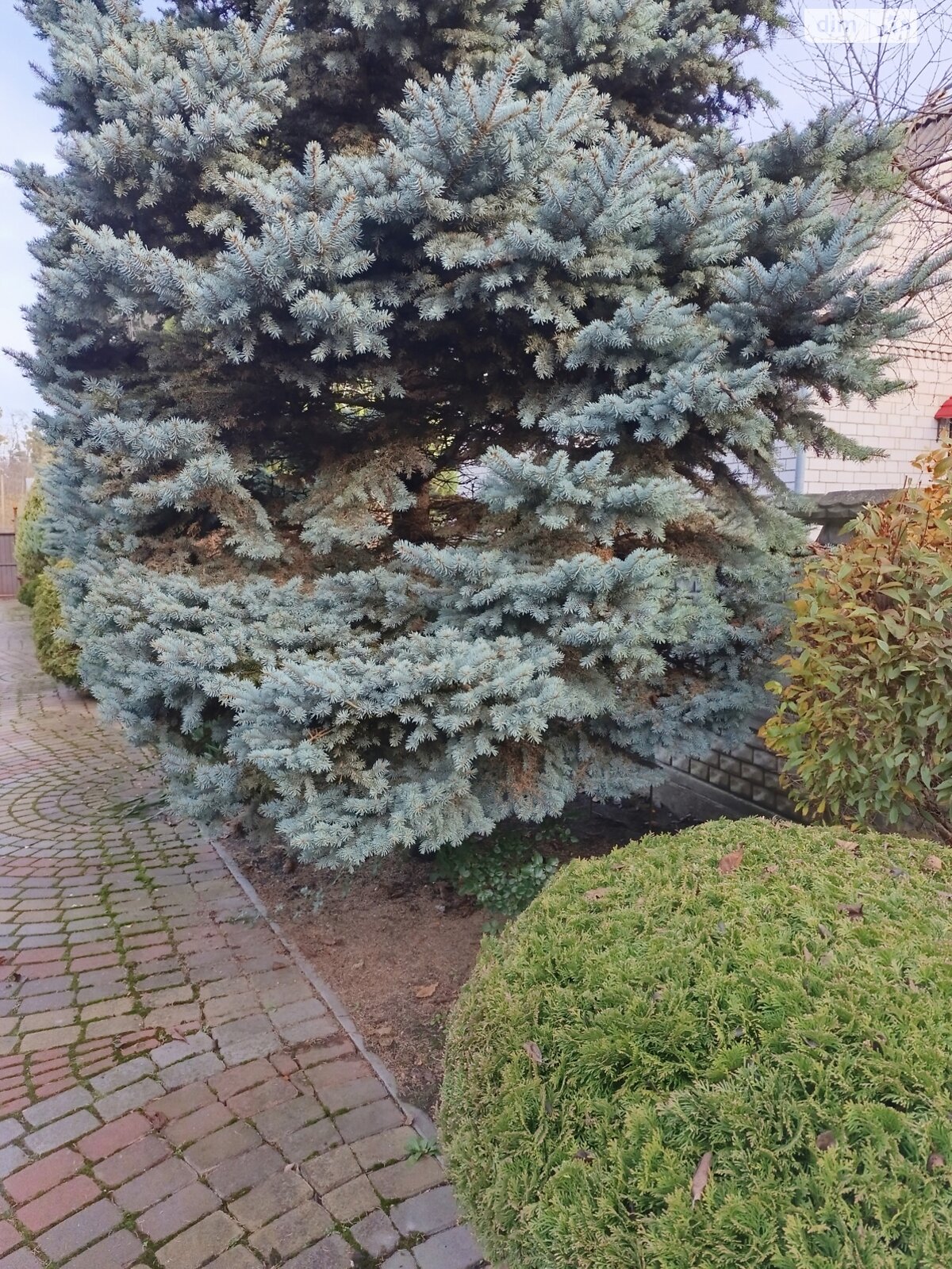 двухэтажный дом с верандой, 244 кв. м, кирпич. Продажа в Виннице фото 1