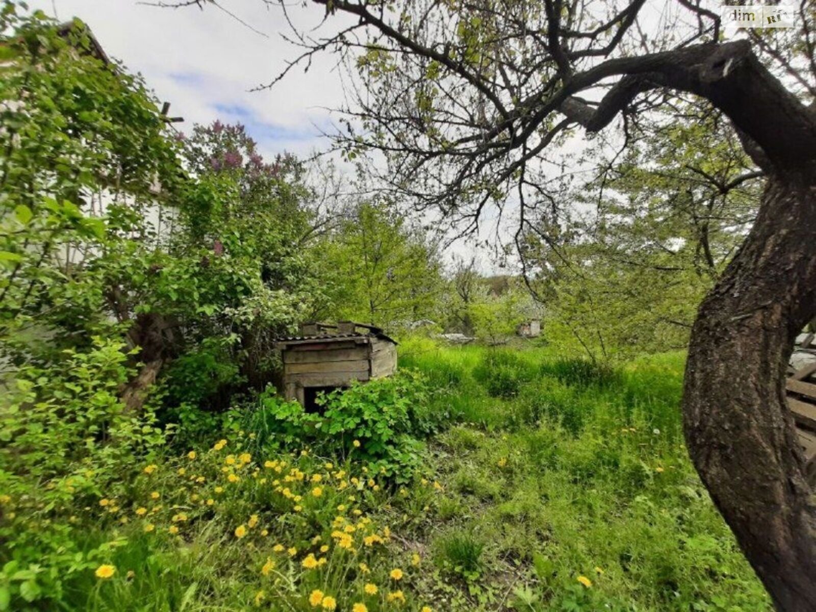 одноэтажный дом, 15 кв. м, кирпич. Продажа в Виннице фото 1 одноэтажный дом, 15 кв. м, кирпич. Продажа в Виннице фото 1