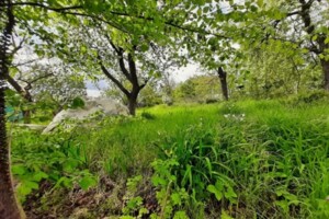 одноэтажный дом, 15 кв. м, кирпич. Продажа в Виннице фото 2 одноэтажный дом, 15 кв. м, кирпич. Продажа в Виннице фото 2