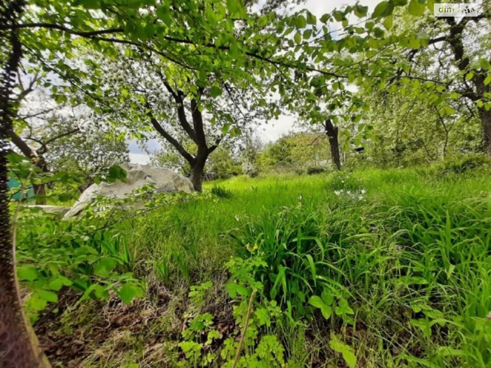 одноэтажный дом, 15 кв. м, кирпич. Продажа в Виннице фото 1 одноэтажный дом, 15 кв. м, кирпич. Продажа в Виннице фото 1