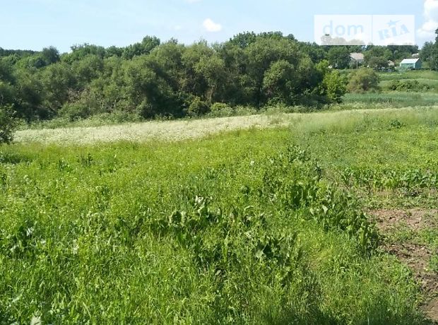 одноэтажный дом, 60 кв. м, кирпич. Продажа в Комарове (Винницкая обл.) фото 1 одноэтажный дом, 60 кв. м, кирпич. Продажа в Комарове (Винницкая обл.) фото 1