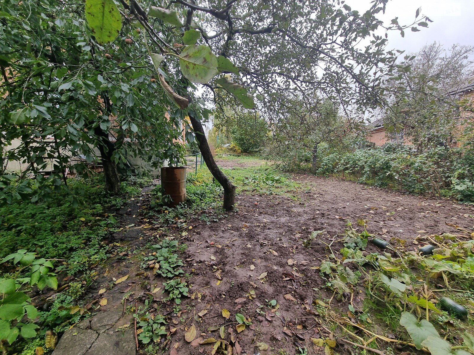 одноэтажный дом, 36 кв. м, кирпич. Продажа в Виннице район Корея фото 1 одноэтажный дом, 36 кв. м, кирпич. Продажа в Виннице район Корея фото 1