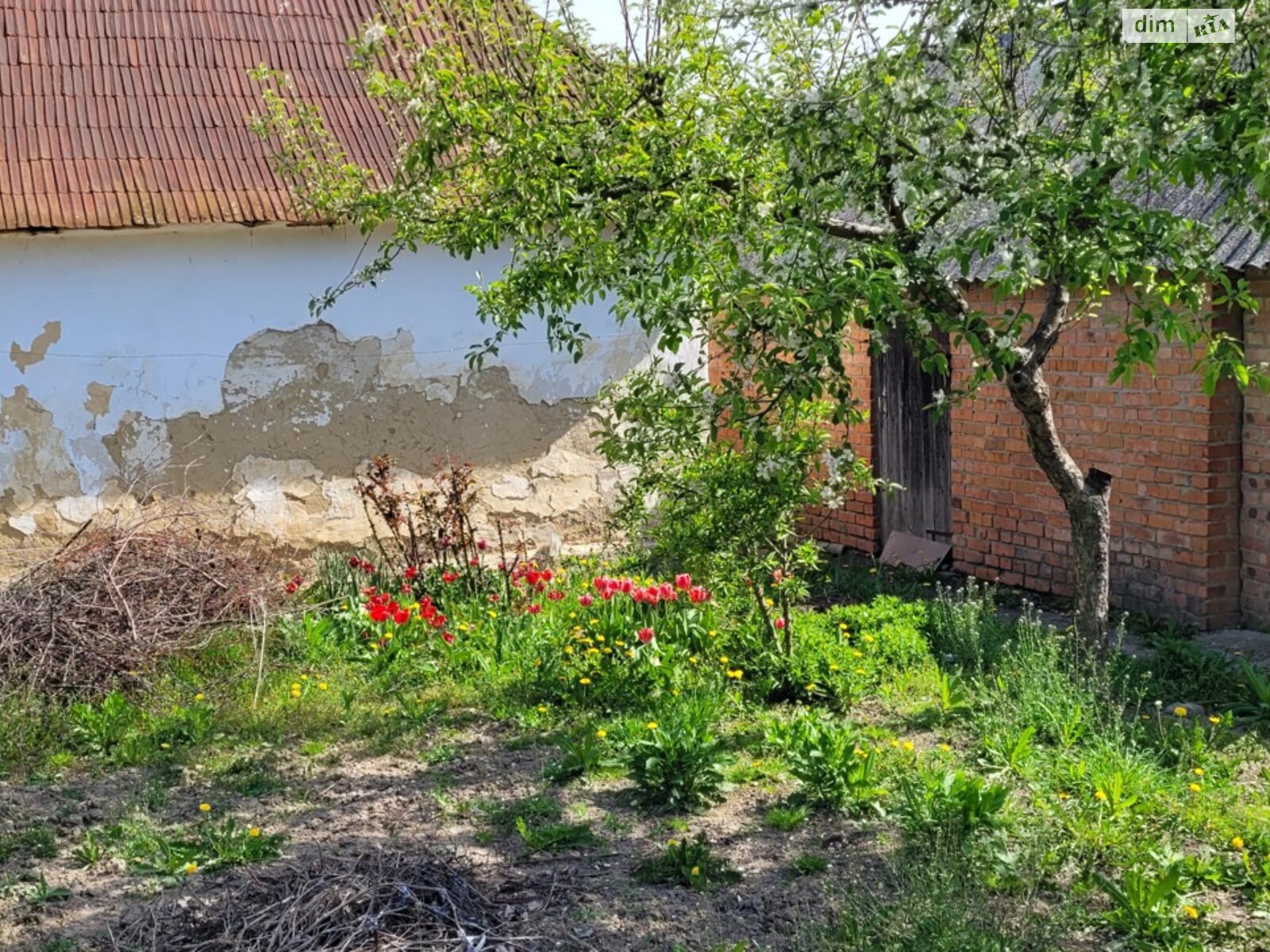 одноповерховий будинок з гаражем, 63.9 кв. м, цегла. Продаж в Вінниці, район Корея фото 1 одноповерховий будинок з гаражем, 63.9 кв. м, цегла. Продаж в Вінниці, район Корея фото 1