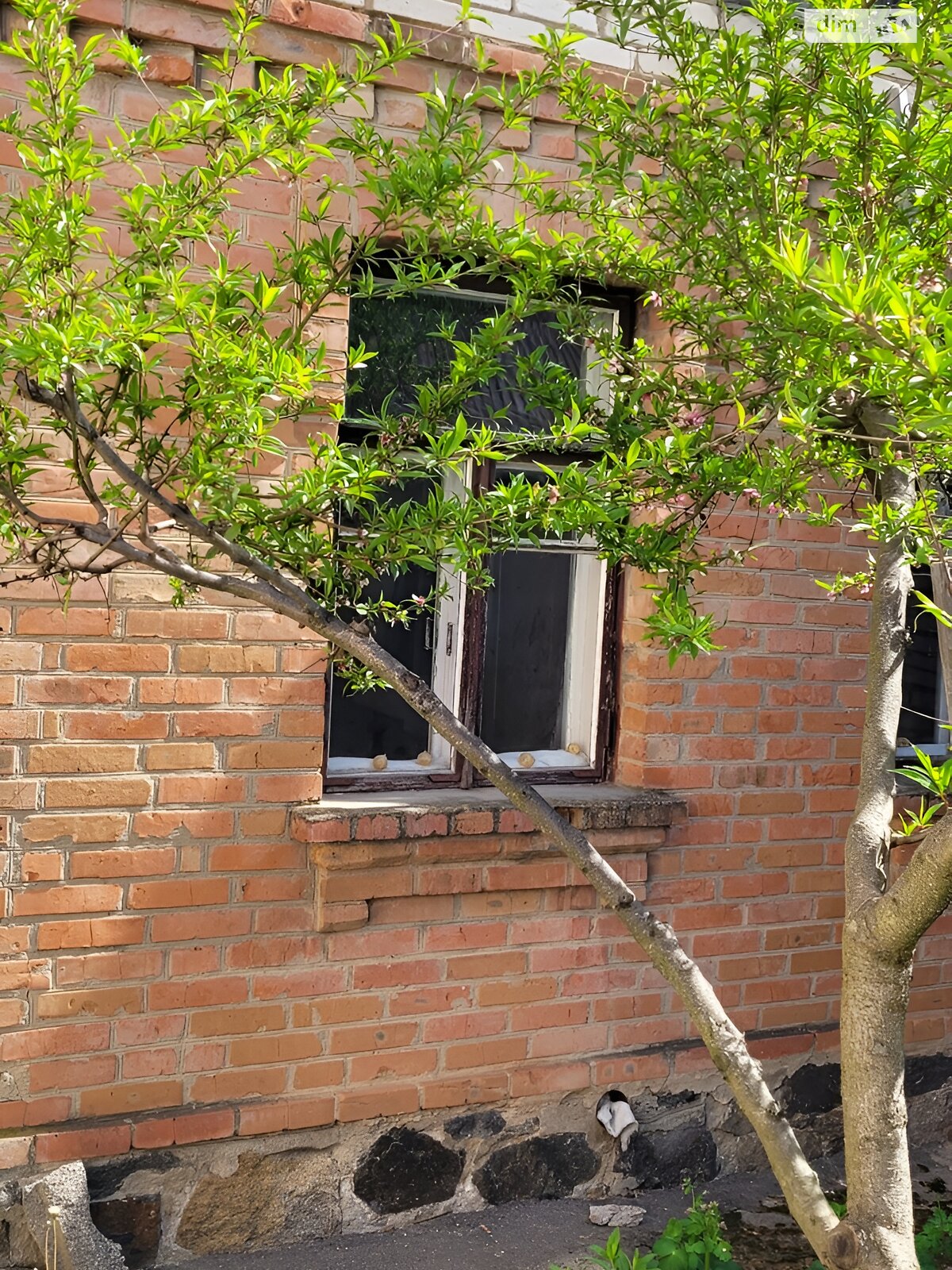 одноповерховий будинок з гаражем, 63.9 кв. м, цегла. Продаж в Вінниці, район Корея фото 1 одноповерховий будинок з гаражем, 63.9 кв. м, цегла. Продаж в Вінниці, район Корея фото 1