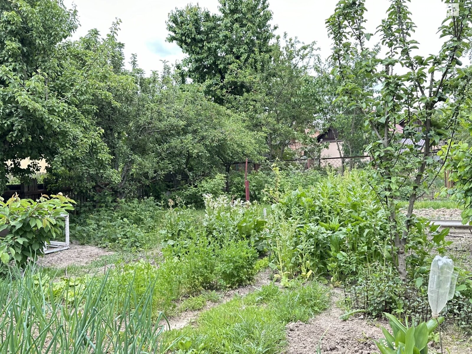 одноповерховий будинок бесідка, 80 кв. м, цегла. Продаж в Вінниці, район Ленінський фото 1 одноповерховий будинок бесідка, 80 кв. м, цегла. Продаж в Вінниці, район Ленінський фото 1