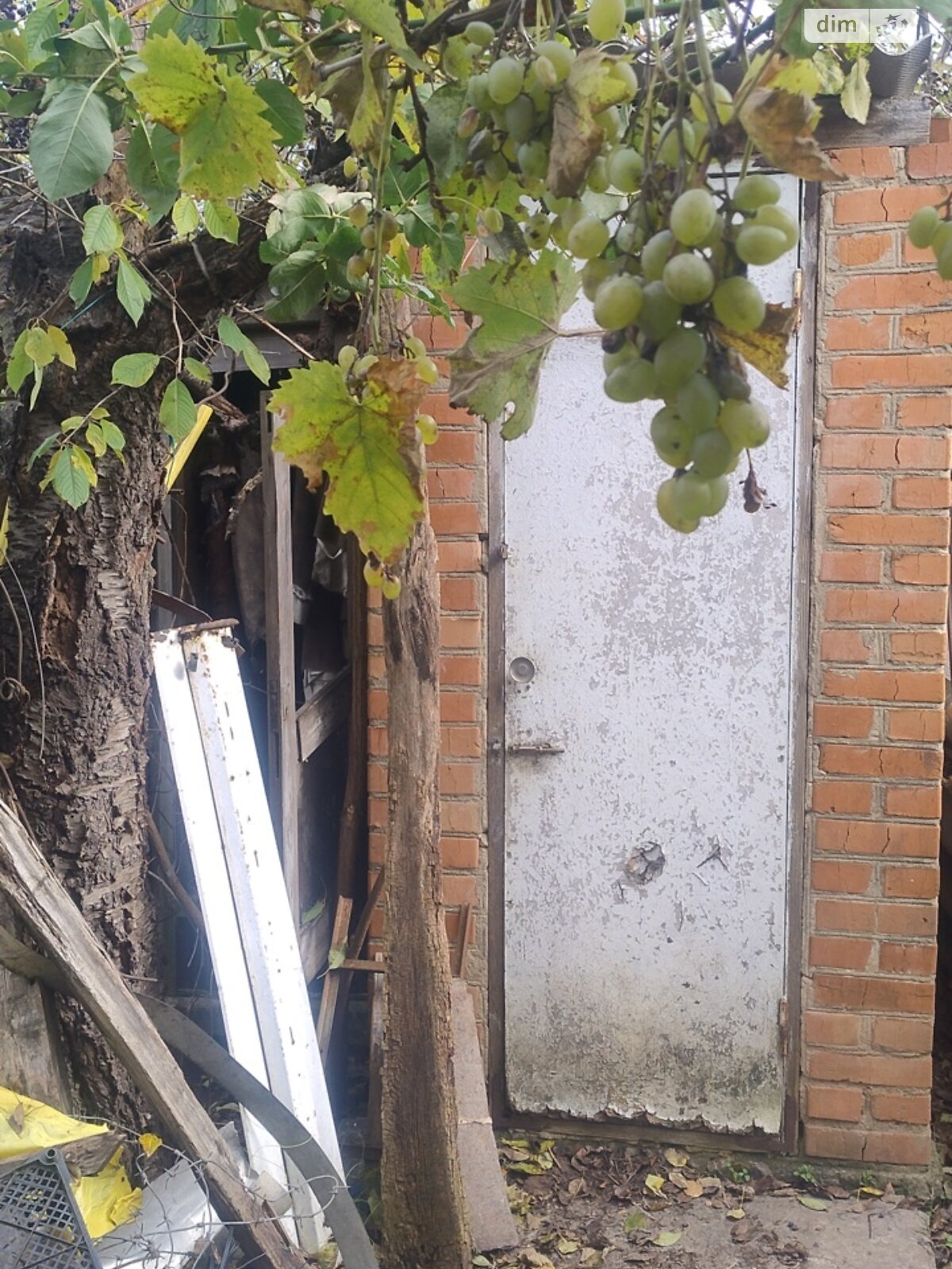 одноповерховий будинок з гаражем, 70.4 кв. м, цегла. Продаж у Агрономічному фото 1 одноповерховий будинок з гаражем, 70.4 кв. м, цегла. Продаж у Агрономічному фото 1