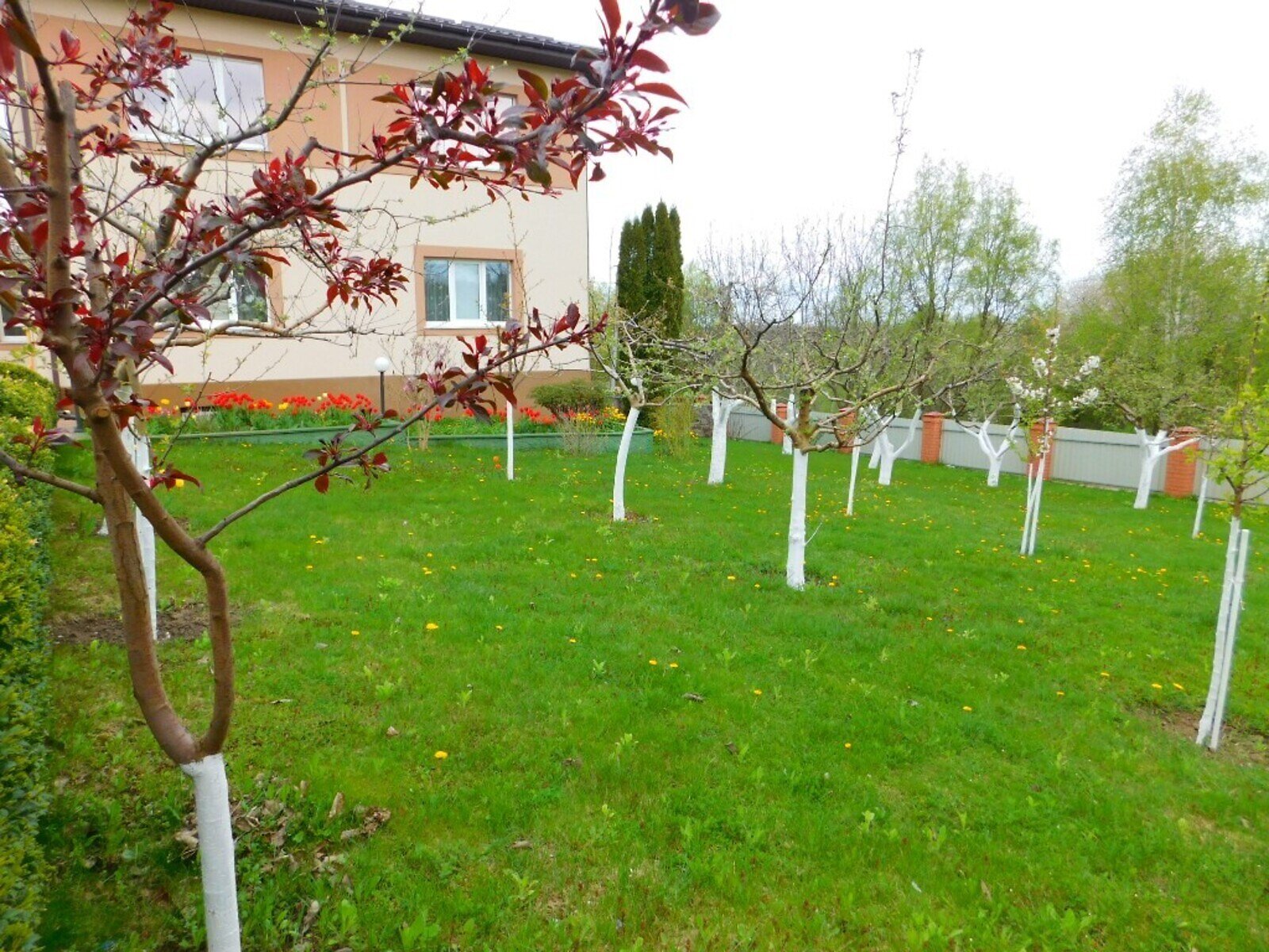 двухэтажный дом, 239 кв. м, кирпич. Продажа в Луке-Мелешковской фото 1 двухэтажный дом, 239 кв. м, кирпич. Продажа в Луке-Мелешковской фото 1