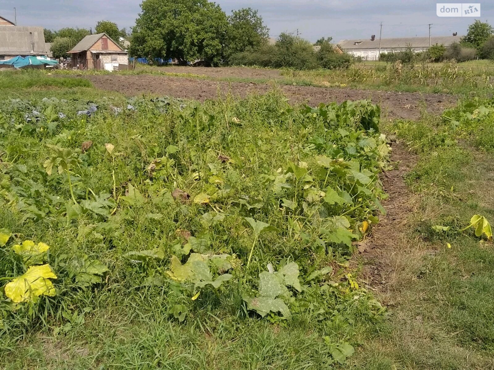 одноповерховий будинок з опаленням, 76 кв. м, цегла. Продаж у Малих Крушлинцях фото 1