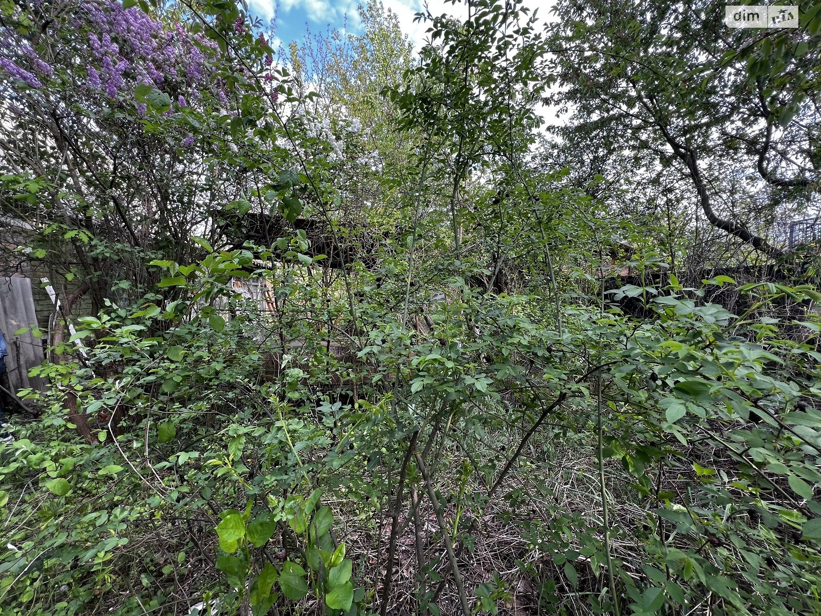 одноповерховий будинок, 25 кв. м, цегла. Продаж в Вінниці, район Пирогово фото 1 одноповерховий будинок, 25 кв. м, цегла. Продаж в Вінниці, район Пирогово фото 1