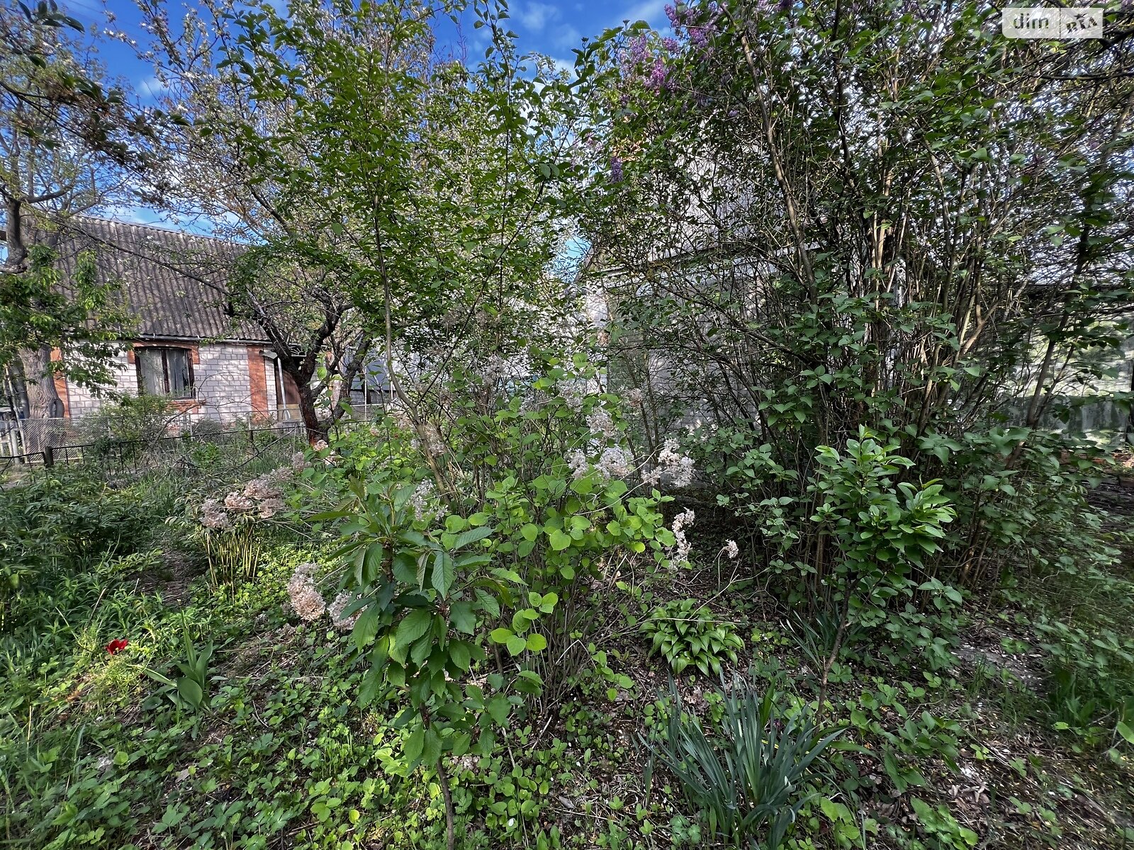 одноповерховий будинок, 25 кв. м, цегла. Продаж в Вінниці, район Пирогово фото 1 одноповерховий будинок, 25 кв. м, цегла. Продаж в Вінниці, район Пирогово фото 1