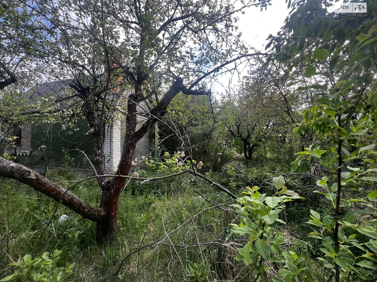 одноповерховий будинок, 25 кв. м, цегла. Продаж в Вінниці, район Пирогово фото 1 одноповерховий будинок, 25 кв. м, цегла. Продаж в Вінниці, район Пирогово фото 1