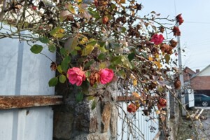 двухэтажный дом, 105 кв. м, кирпич. Продажа в Виннице район Пирогово фото 2