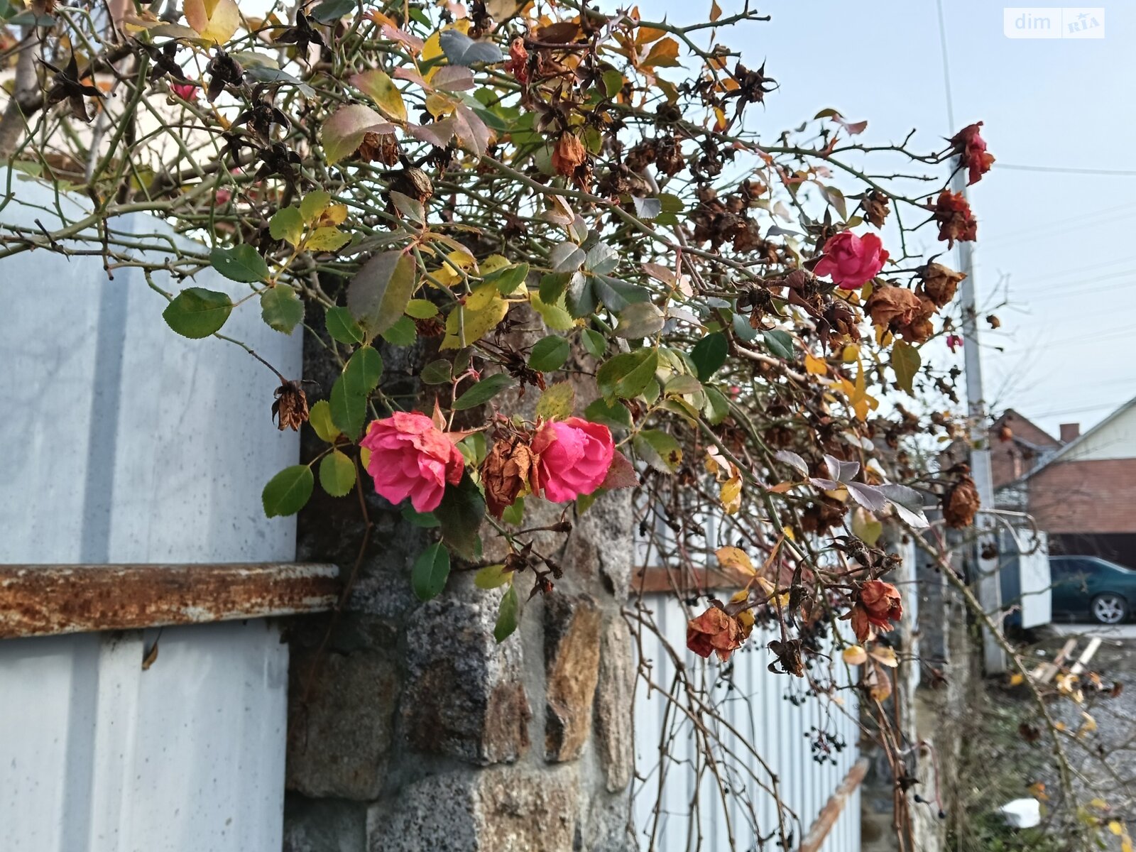 двухэтажный дом, 105 кв. м, кирпич. Продажа в Виннице район Пирогово фото 1