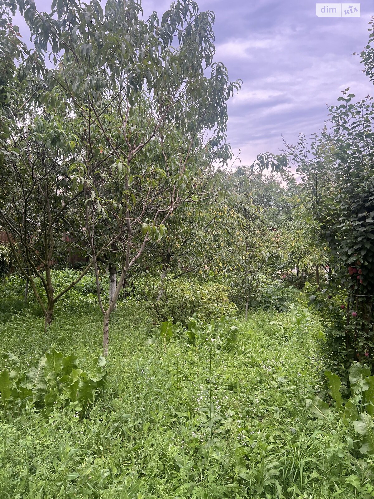 одноповерховий будинок з гаражем, 60 кв. м, цегла. Продаж в Вінниці, район П’ятничани фото 1 одноповерховий будинок з гаражем, 60 кв. м, цегла. Продаж в Вінниці, район П’ятничани фото 1