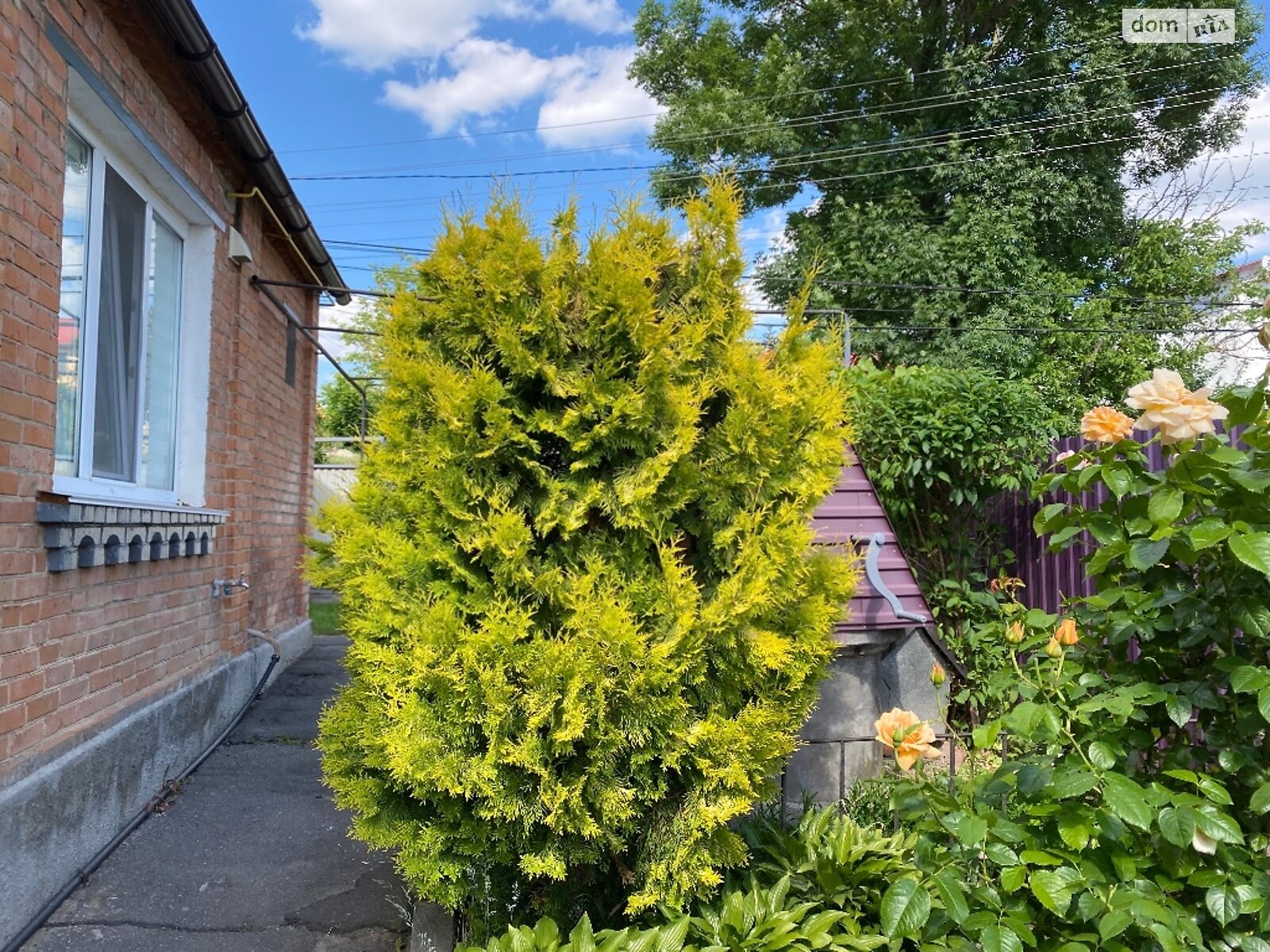 одноэтажный дом с отоплением, 82.8 кв. м, кирпич. Продажа в Виннице район Пятничаны фото 1 одноэтажный дом с отоплением, 82.8 кв. м, кирпич. Продажа в Виннице район Пятничаны фото 1
