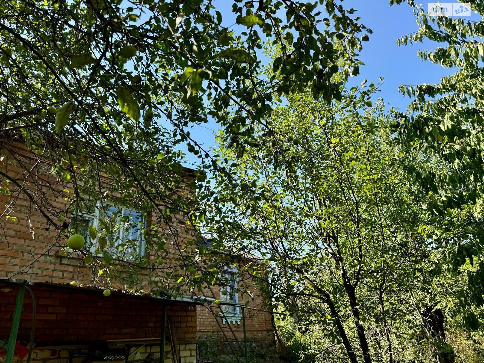 одноповерховий будинок, 81.5 кв. м, цегла. Продаж в Вінниці, район Сабарів фото 1 одноповерховий будинок, 81.5 кв. м, цегла. Продаж в Вінниці, район Сабарів фото 1