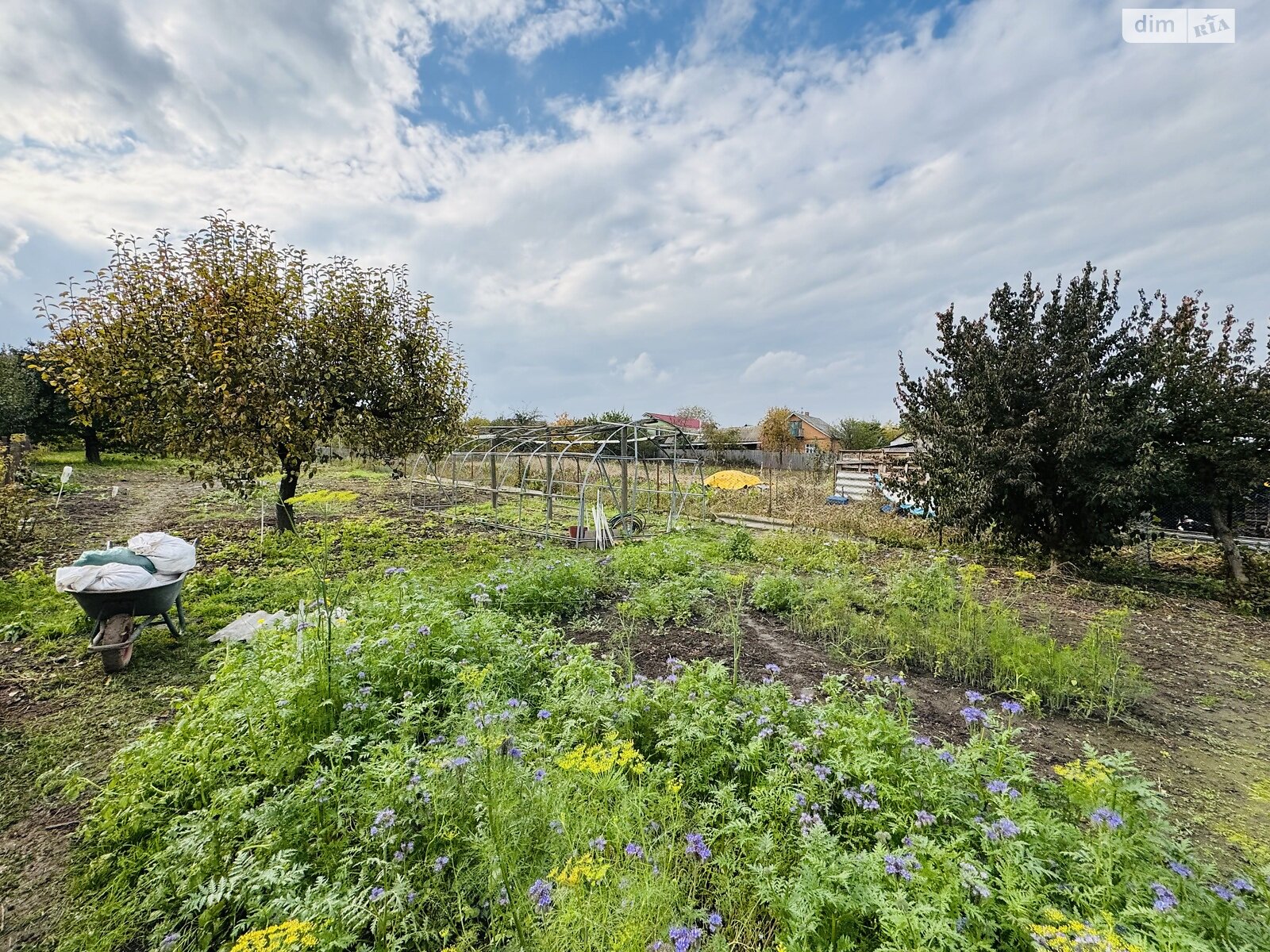 двухэтажный дом с верандой, 180 кв. м, ракушечник (ракушняк). Продажа в Виннице район Бучмы фото 1