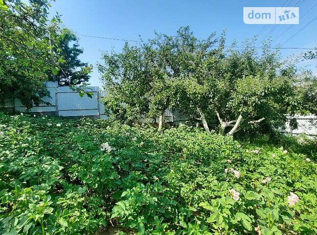 двухэтажный дом с камином, 225 кв. м, кирпич. Продажа в Виннице район Старый город фото 1 двухэтажный дом с камином, 225 кв. м, кирпич. Продажа в Виннице район Старый город фото 1