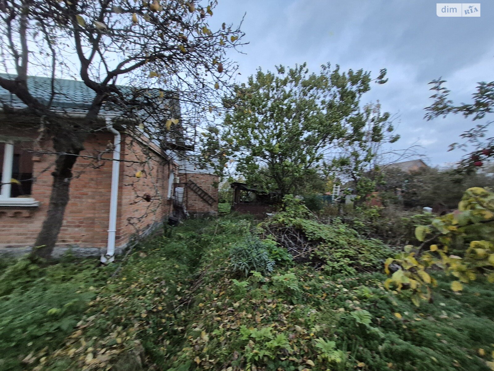 одноповерховий будинок з верандою, 80 кв. м, кирпич. Продаж в Вінниці, район Старе місто фото 1 одноповерховий будинок з верандою, 80 кв. м, кирпич. Продаж в Вінниці, район Старе місто фото 1